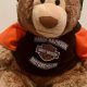Cuddly Harley-Davidson Teddy Bears: Shop Now! | Teddy Information – Everything You Need to Know About Teddy Bears