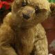 Collectible Vintage Steiff Teddy Bears: A Guide | Teddy Information – Everything You Need to Know About Teddy Bears