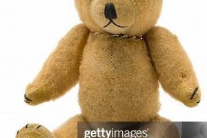 My Beat Up Teddy Bear: A Childhood Story Teddy Information – Everything You Need to Know About Teddy Bears My Beat Up Teddy Bear: A Childhood Story | Teddy Information – Everything You Need to Know About Teddy Bears