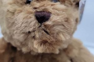 Cuddly Chelsea Teddy Bears: Official & Soft Teddy Information – Everything You Need to Know About Teddy Bears Cuddly Chelsea Teddy Bears: Official & Soft | Teddy Information – Everything You Need to Know About Teddy Bears