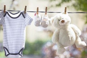 Clean & Dry Your Teddy Bear: Easy Guide Teddy Information – Everything You Need to Know About Teddy Bears Clean & Dry Your Teddy Bear: Easy Guide | Teddy Information – Everything You Need to Know About Teddy Bears