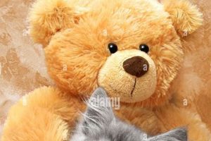 Cuddly Cat & Teddy Bear Toys for Kids Teddy Information – Everything You Need to Know About Teddy Bears Cuddly Cat & Teddy Bear Toys for Kids | Teddy Information – Everything You Need to Know About Teddy Bears