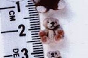 Meet the World's Smallest Teddy Bear: A Tiny Treasure Teddy Information – Everything You Need to Know About Teddy Bears Meet the World's Smallest Teddy Bear: A Tiny Treasure | Teddy Information – Everything You Need to Know About Teddy Bears