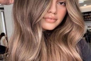 Get the Trendy Teddy Bronde Hair Look Teddy Information – Everything You Need to Know About Teddy Bears Get the Trendy Teddy Bronde Hair Look | Teddy Information – Everything You Need to Know About Teddy Bears