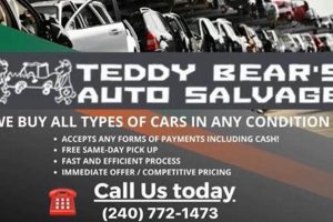 Donate Teddys, Salvage Autos in Florida Holiday Drive Teddy Information – Everything You Need to Know About Teddy Bears Donate Teddys, Salvage Autos in Florida Holiday Drive | Teddy Information – Everything You Need to Know About Teddy Bears