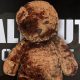Cuddly Carnage: Teddy Bear COD Zombies Unleashed | Teddy Information – Everything You Need to Know About Teddy Bears