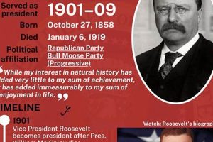 Teddy Roosevelt's Presidency: One or Two Terms? Teddy Information – Everything You Need to Know About Teddy Bears Teddy Roosevelt's Presidency: One or Two Terms? | Teddy Information – Everything You Need to Know About Teddy Bears