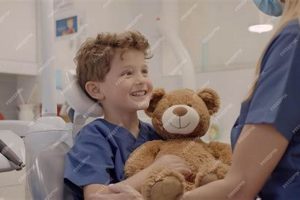 Meet the Teddy Dentist: Comfort for Kids | Teddy Information – Everything You Need to Know About Teddy Bears