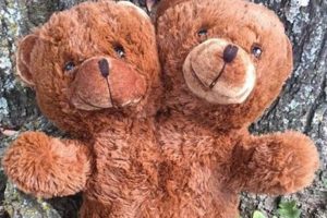Cuddly Two Headed Teddy Bears: Unique Plush Toys Teddy Information – Everything You Need to Know About Teddy Bears Cuddly Two Headed Teddy Bears: Unique Plush Toys | Teddy Information – Everything You Need to Know About Teddy Bears