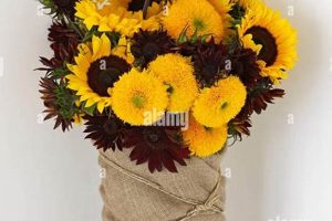 Charming Teddy Bear Sunflower Bouquets for Sale Teddy Information – Everything You Need to Know About Teddy Bears Charming Teddy Bear Sunflower Bouquets for Sale | Teddy Information – Everything You Need to Know About Teddy Bears