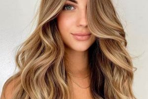 Get the Teddy Bear Blonde Balayage Look Teddy Information – Everything You Need to Know About Teddy Bears Get the Teddy Bear Blonde Balayage Look | Teddy Information – Everything You Need to Know About Teddy Bears