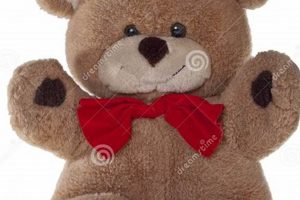 Classic Teddy Bears with Bow Ties: Shop Now Teddy Information – Everything You Need to Know About Teddy Bears Classic Teddy Bears with Bow Ties: Shop Now | Teddy Information – Everything You Need to Know About Teddy Bears