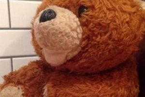 Cuddly Huggy Bear Teddy Plush Toys Teddy Information – Everything You Need to Know About Teddy Bears Cuddly Huggy Bear Teddy Plush Toys | Teddy Information – Everything You Need to Know About Teddy Bears
