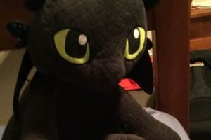 Cuddly Toothless Teddy Leaks & Rumors Teddy Information – Everything You Need to Know About Teddy Bears Cuddly Toothless Teddy Leaks & Rumors | Teddy Information – Everything You Need to Know About Teddy Bears