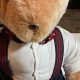 Classic Teddy Bears with Stylish Suspenders | Teddy Information – Everything You Need to Know About Teddy Bears