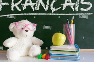 Learn How to Say Teddy Bear in French Teddy Information – Everything You Need to Know About Teddy Bears Learn How to Say Teddy Bear in French | Teddy Information – Everything You Need to Know About Teddy Bears