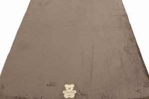 Cozy Teddy Bear Camper Mattresses for Sweet Dreams Teddy Information – Everything You Need to Know About Teddy Bears Cozy Teddy Bear Camper Mattresses for Sweet Dreams | Teddy Information – Everything You Need to Know About Teddy Bears