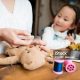 Learn How to Fix Your Teddy Bear Today | Teddy Information – Everything You Need to Know About Teddy Bears