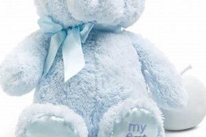 Memories of My First Teddy Bear: A Timeless Gift Teddy Information – Everything You Need to Know About Teddy Bears Memories of My First Teddy Bear: A Timeless Gift | Teddy Information – Everything You Need to Know About Teddy Bears