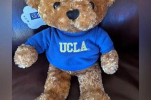 Cuddly UCLA Teddy Bears: Shop Now! Teddy Information – Everything You Need to Know About Teddy Bears Cuddly UCLA Teddy Bears: Shop Now! | Teddy Information – Everything You Need to Know About Teddy Bears