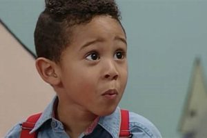Michelle Tanner's Teddy Bear: Full House Icon Teddy Information – Everything You Need to Know About Teddy Bears Michelle Tanner's Teddy Bear: Full House Icon | Teddy Information – Everything You Need to Know About Teddy Bears