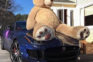 Cute Teddy Bears for Car Decoration & Gifts Teddy Information – Everything You Need to Know About Teddy Bears Cute Teddy Bears for Car Decoration & Gifts | Teddy Information – Everything You Need to Know About Teddy Bears