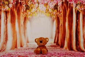 Enchanting Teddy Bear Forest Adventures | Teddy Information – Everything You Need to Know About Teddy Bears