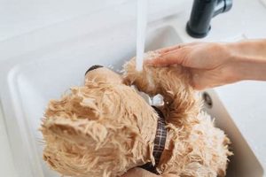 How to Wash Teddy Bears: A Complete Guide Teddy Information – Everything You Need to Know About Teddy Bears How to Wash Teddy Bears: A Complete Guide | Teddy Information – Everything You Need to Know About Teddy Bears
