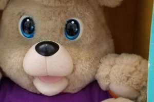 Cuddly TV Teddy Bears: Plush Pals for Kids Teddy Information – Everything You Need to Know About Teddy Bears Cuddly TV Teddy Bears: Plush Pals for Kids | Teddy Information – Everything You Need to Know About Teddy Bears