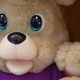 Cuddly TV Teddy Bears: Plush Pals for Kids | Teddy Information – Everything You Need to Know About Teddy Bears