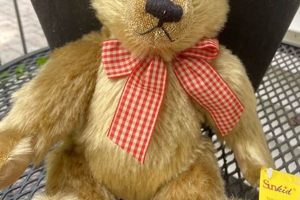 Cuddly Sunkid Teddy Bears: Perfect Plush Pals Teddy Information – Everything You Need to Know About Teddy Bears Cuddly Sunkid Teddy Bears: Perfect Plush Pals | Teddy Information – Everything You Need to Know About Teddy Bears