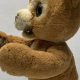 Classic Teddy Bear Hasbro: Plush Toys | Teddy Information – Everything You Need to Know About Teddy Bears