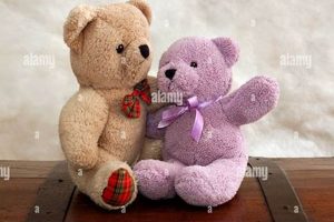 A Guide for Teddy Bear Lovers & Collectors Teddy Information – Everything You Need to Know About Teddy Bears A Guide for Teddy Bear Lovers & Collectors | Teddy Information – Everything You Need to Know About Teddy Bears