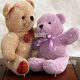 A Guide for Teddy Bear Lovers & Collectors | Teddy Information – Everything You Need to Know About Teddy Bears