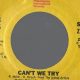 Teddy Pendergrass: Can't We Try? Lyrics & Meaning | Teddy Information – Everything You Need to Know About Teddy Bears