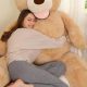 Giant 6 ft Teddy Bears: Big Plush Fun | Teddy Information – Everything You Need to Know About Teddy Bears