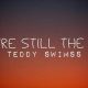 My Teddy Swims, You're Still The One - Always | Teddy Information – Everything You Need to Know About Teddy Bears