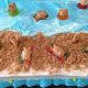 Easy Teddy Graham Beach Cake Recipe & Decorating Ideas | Teddy Information – Everything You Need to Know About Teddy Bears