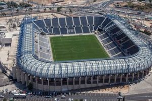 Plush Teddy Stadiums: Toys & Collectibles Teddy Information – Everything You Need to Know About Teddy Bears Plush Teddy Stadiums: Toys & Collectibles | Teddy Information – Everything You Need to Know About Teddy Bears