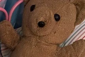 Vintage 90s Teddy Bears: Plush Nostalgia Teddy Information – Everything You Need to Know About Teddy Bears Vintage 90s Teddy Bears: Plush Nostalgia | Teddy Information – Everything You Need to Know About Teddy Bears