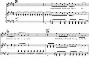 Easy Teddy Swims "Lose Control" Piano Chords + Tutorial Teddy Information – Everything You Need to Know About Teddy Bears Easy Teddy Swims "Lose Control" Piano Chords + Tutorial | Teddy Information – Everything You Need to Know About Teddy Bears