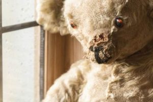 Restore Your Teddy Bear Near You | Expert Care | Teddy Information – Everything You Need to Know About Teddy Bears