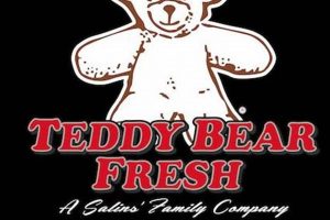 Cute Teddy Bear Produce: Healthy & Fun Snacks | Teddy Information – Everything You Need to Know About Teddy Bears