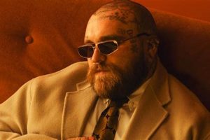 Teddy Swims Denver | Teddy Information – Everything You Need to Know About Teddy Bears