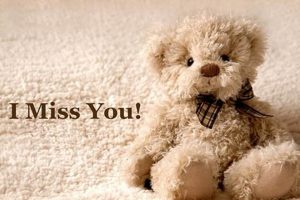 Cuddly "I Miss You" Teddy Bears for Comfort | Teddy Information – Everything You Need to Know About Teddy Bears