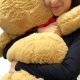 Giant 36 Inch Teddy Bears: Cuddly & Huge | Teddy Information – Everything You Need to Know About Teddy Bears