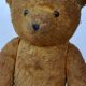 Charming Old Fashion Teddy Bears for Sale | Teddy Information – Everything You Need to Know About Teddy Bears