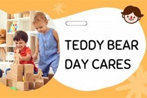 Best Teddy Bear Day Care & Learning Centers | Teddy Information – Everything You Need to Know About Teddy Bears