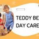 Best Teddy Bear Day Care & Learning Centers | Teddy Information – Everything You Need to Know About Teddy Bears