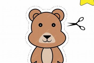 Professional Teddy Cutting & Repair Tips | Teddy Information – Everything You Need to Know About Teddy Bears